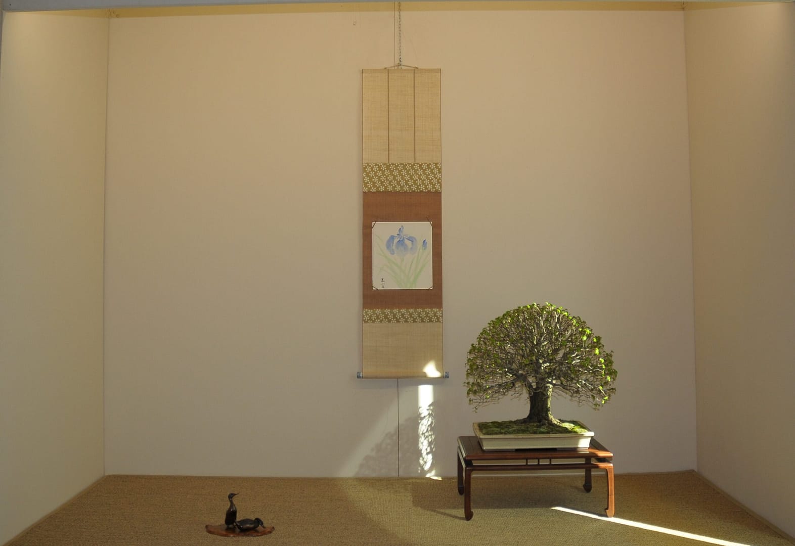 Mostra Sociale e Coordinamento Triveneto 2026 un giretto fotografico…