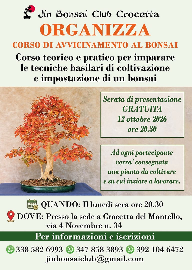 Scopri l’arte del bonsai: al via il nuovo corso base a Crocetta del Montello!