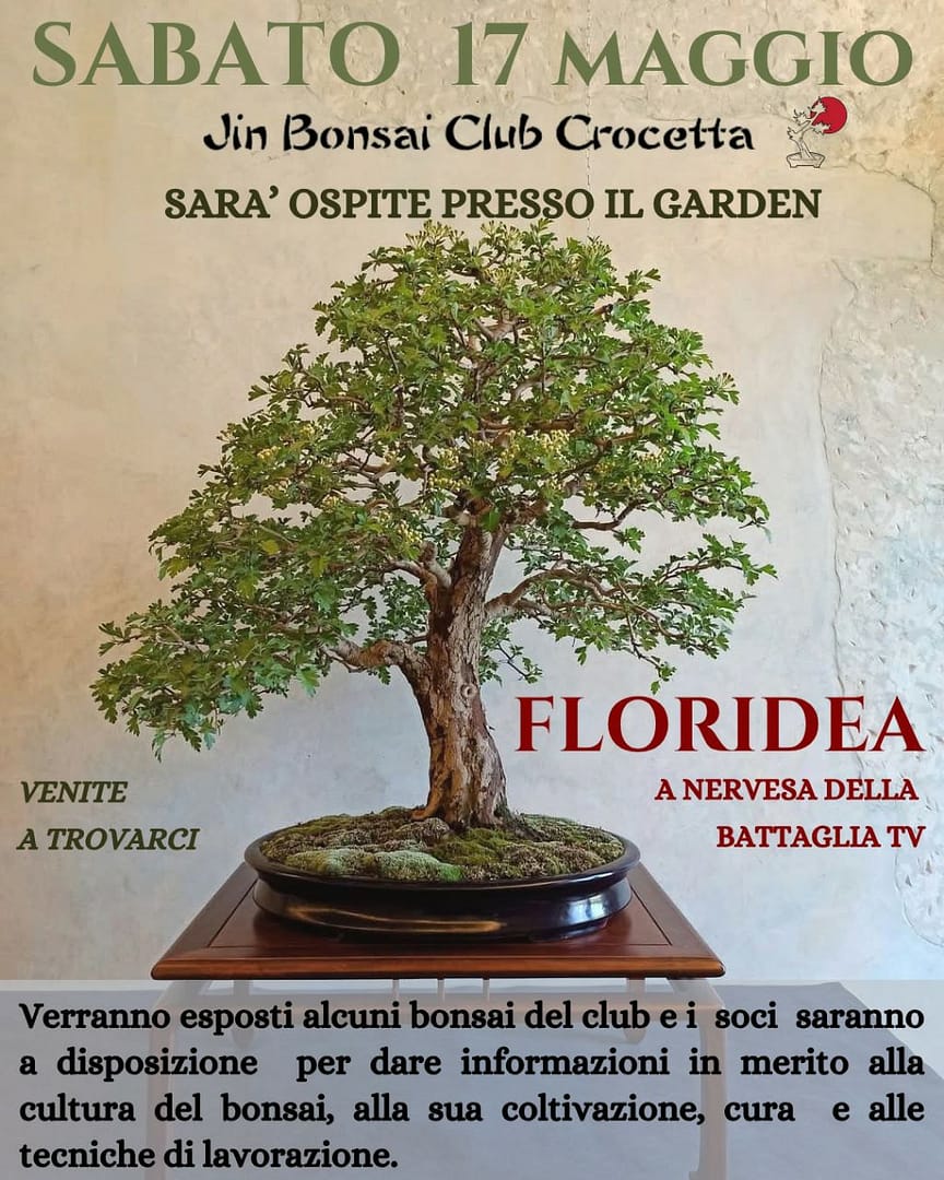 Esposizione di bonsai presso il garden Floridea