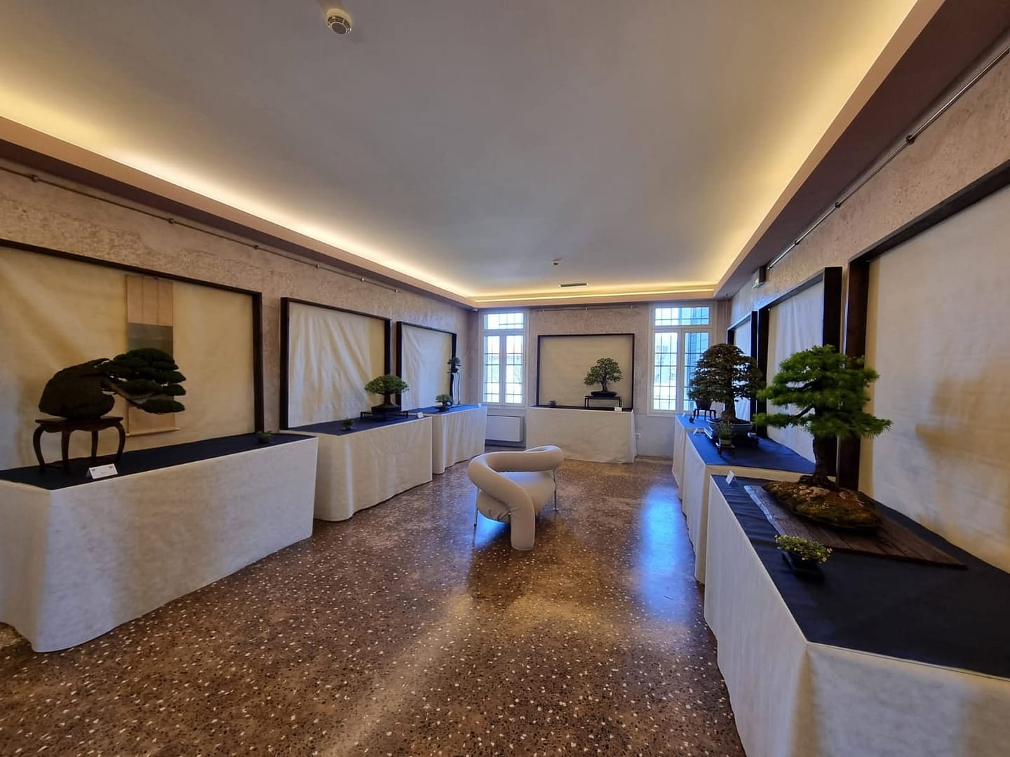 Rassegna fotografica delle piante presentate alla 33^ Mostra del Coordinamento Triveneto